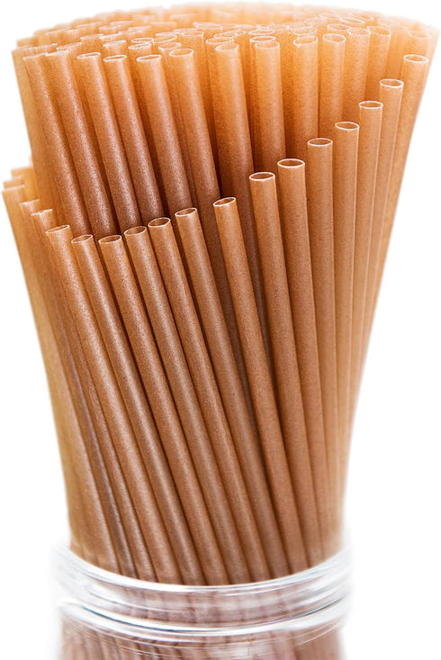 100pcs Sugarcane Straws, 8 Inch Sturdy Biodegradable Plastic Free Eco-Friendly Smoothie Drinking Straws for Home