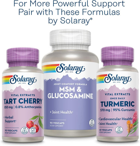 Solaray Celery Seed, 505 mg, 100 Vegetarian Capsules
