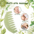 Janedream Jade Stone Gua Sha Comb - Traditional Massage Tools for Scalp and Facial Therapy