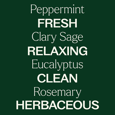 Plant Therapy Sparkling Peppermint Laundry Essential Oil Blend, 10 mL (1/3 oz) Pure, Undiluted Wash Fragrance and Scent