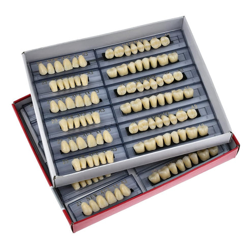 168 Pcs Dental Synthetic Resin Tooth Denture, 3 Sets False Teeth for Halloween Horror