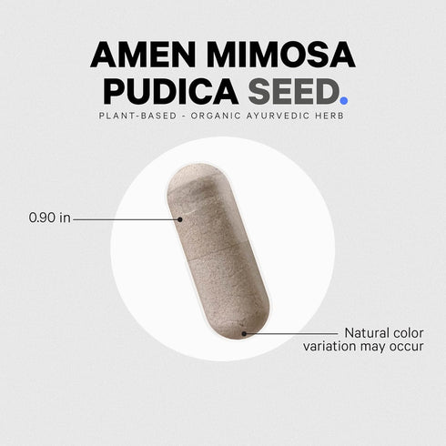 Amen Organic Mimosa Pudica Seeds Capsules, Vegan Plant Supplement, 120 Capsules, 2 Month Supply