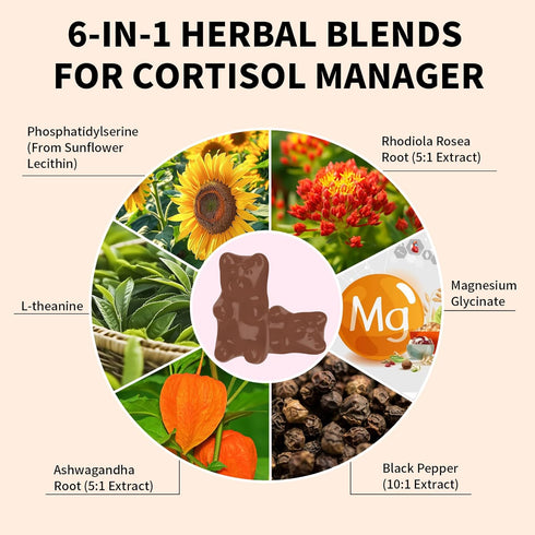 Gummies Gummies 60 Count Cortisol Supplements for Women Sugar-Free Cortisol with Magnesium Glycinate Ashwagandha