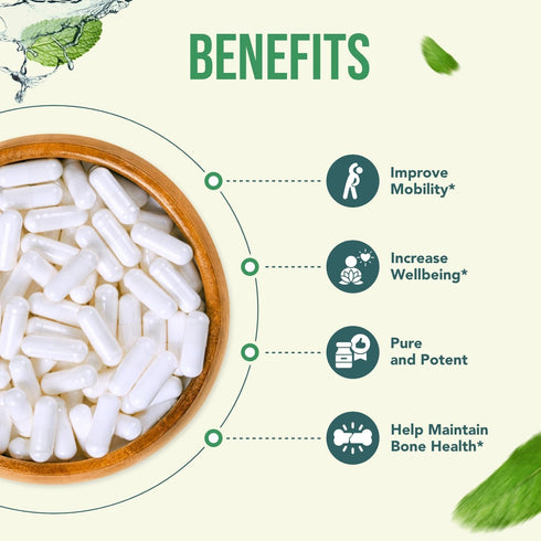 Healthy Way 500mg SAM-e Supplement - High Strength S-Adenosyl-L-Methionine Capsules for Joint, Brain, Liver, Mood