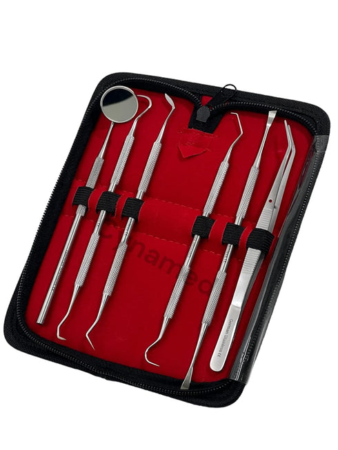 Premium Dental Tools, Professional Hygiene Cleaning Kit, Stainless Tooth Scraper, Plaque Remover, Set of 6 with CASE