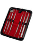 Premium Dental Tools, Professional Hygiene Cleaning Kit, Stainless Tooth Scraper, Plaque Remover, Set of 6 with CASE