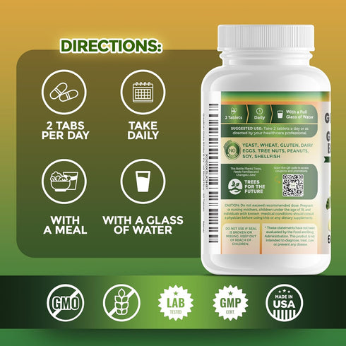 Ginko Biloba & Panax Ginseng Supplement - Red Ginseng Brain Supplement for Memory, Focus, and Good Vision - 120 Tablets