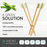12 Pack Disposable Bamboo Toothbrushes with Built-in Toothpaste, Individually Wrapped, Soft Bristles for Travel
