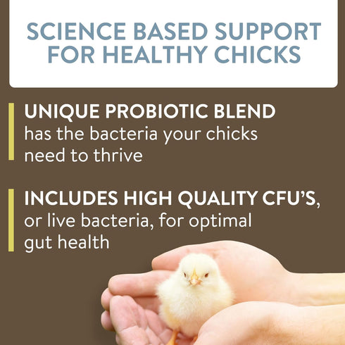 Arrive, Daily Probiotic & Prebiotic Water Supplement for Young Chickens, 0-8 Weeks Old, 8 oz