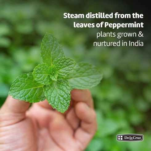 De La Cruz 100% Peppermint Essential Oil - Steam Distilled Aromatherapy - 2 Fl OZ