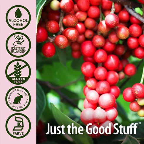 Schisandra Berry Extract, Nature's Answer, Alcohol Free, Gluten Free, Stress Support, Made in USA