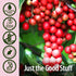 Schisandra Berry Extract, Nature's Answer, Alcohol Free, Gluten Free, Stress Support, Made in USA