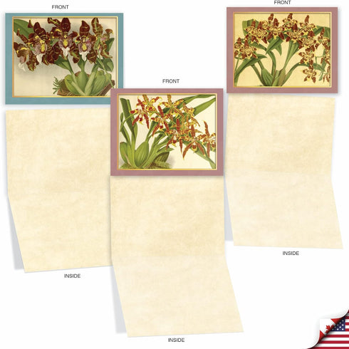 The Best Card Company - 10 Boxed Note Cards with Flowers, Blank Assorted Floral Notecards Bulk, Tiger Orchids M10037BK
