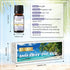 Holiday Island Fragrance Oil Gift Set of 6, Summer Essential Oils for Humidifier, Aromatherapy - 10ml