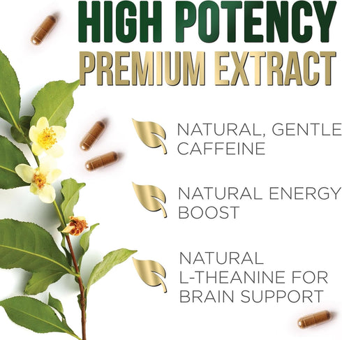 Green Tea Extract Weight Loss Pills 1000mg | 60 Capsules | 98% Standardized EGCG, Vegan Herbal Supplement