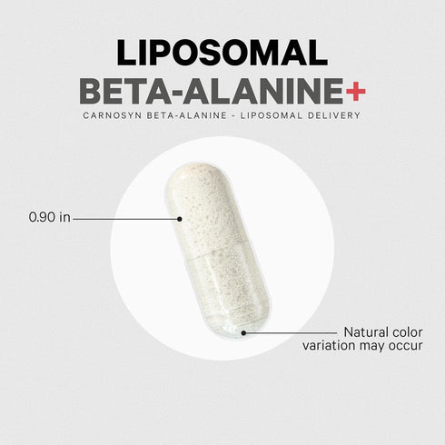 Codeage Liposomal Beta-Alanine Supplement, CarnoSyn Beta-Alanine, 180 Capsules, 2-Month Supply, Non-GMO