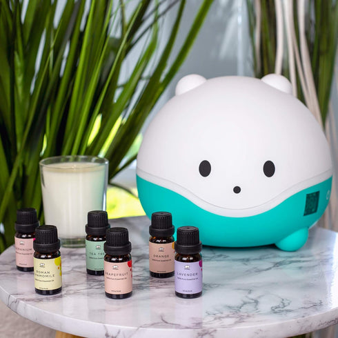 LittleHippo Set of 6 Premium 100% Pure Essential Oils, 10ml, Formulated for Kids/Children for WISPI.