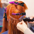HH&LL Hair Clips for Women, Wide Teeth & Double-Hinged Design, Professional Quality Alligator Styling Clips - 10 Pack