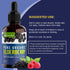 Organic Elderberry Syrup - 60 Day Supply Liquid Drops for Immune Support - Extra Strength (2 Pack)