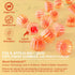 Vitamin D3 5000IU + K2 (MK-7) 120mcg, Sugar-Free Gummies with Vitamin B Complex, Supports Bone & Immune Health