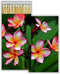 Box & Bean Pink Plumeria Decorative Match Boxes with Wooden Matches -