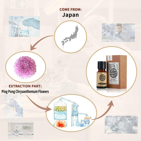 Ping Pong Chrysanthemum Essential Oil Natural Organic Pure Ping Pong Chrysanthemum Oil for Skin Body Hair Care, Candle,Soap,Making, DIY,Massage Aroma 0.34 Fl Oz (10ml)