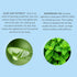 Serious Skincare Cryo-Cinq Sculpting Body Treatment Cream with Slimexir - Skin Firming and Tightening for Cellulite, 8