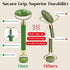 Rena Chris Face Roller & Gua Sha Set, Natural Jade Massage Tools for Jawline Sculpting and Puffiness Reducing