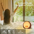 Sunset Snooze 25 Wake Up Light Sunrise Alarm Clock White Noise Machine with Sunrise Simulation for Heavy Sleepers Kids