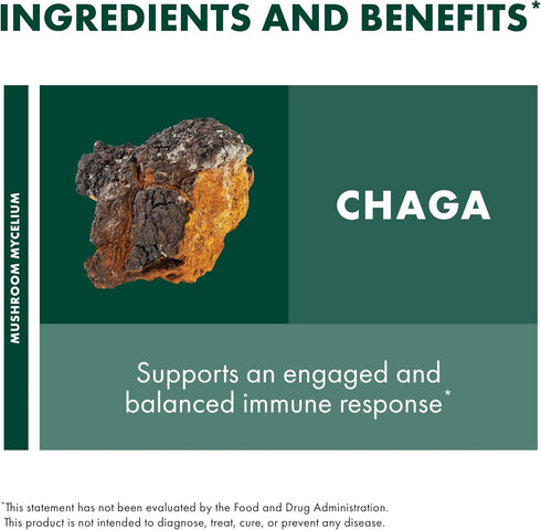Immune 2 oz (60 Host Defense Chaga Extract - System Support Supplement - Chaga Mushroom for Antioxidant Activity