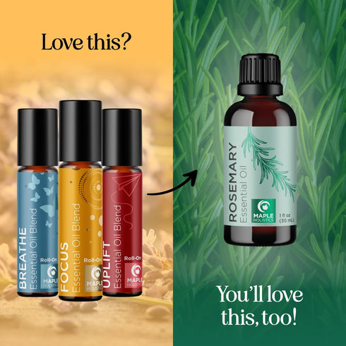 Set Set Pack (3 Pack) Aromatherapy Roll on Essential Oils - Wellness Essential Oils Variety with Focus Uplift & Breathe