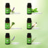 Set,100% (0.33Fl Oz*6, Set) Essential Oils Pure Natural,(Peppermint/Patchouli/Rosemary/Lemongrass/Vanilla/Lavender)