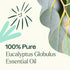 Plant Therapy Eucalyptus Globulus Essential Oil, 30 mL (1 oz) for Diffuser, Skin, Hair, Aromatherapy
