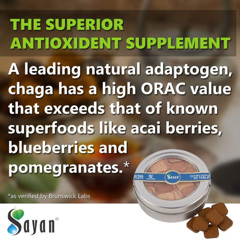 Sayan Siberian Evening Instant Chaga Mushroom Tea with Peach Leaf & Fir Needle Extract (30 Pcs) - Wild-Harvested