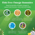 Kids DHA Omega 3 Gummies - Delicious Fish Free DHA Kids Omega 3 Gummies with Vegetarian Omega 3 6 9 for Vision, Brain &