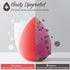 Makeup Sponge Set BEAKEY 5 Pack Micro Porous Low Absorption Soft Latex Free Foundation Beauty Sponges