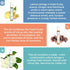 Set Essential Oil (Deep Calm, Cheer, ClearMind), Aromatherapy Roll On Blends for Massage, Body Care & Home Use, Great