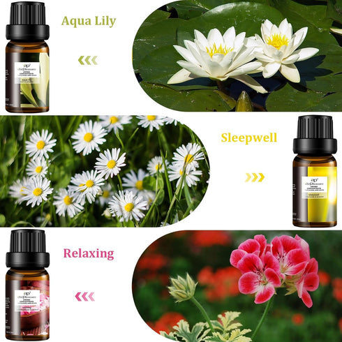 Floral Essential Oil Set - 6x10ml Aromatherapy Gift Kit for Diffuser, Humidifier, DIY Candle