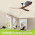 Cobweb Duster with Extension Pole, Spider Web Brush & Ceiling Duster Kit for Cleaning, 100" Microfiber Feather Duster