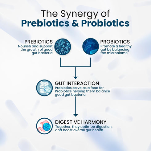 Organics Probiotics Supplement 50 Billion CFU - 60 Vegetarian Capsules with Prebiotics for Gut Health and Immunity