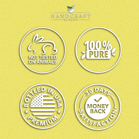 Set: (2 4 Oz) 100% Handcraft Blends Energy & Zest Peppermint and Lemon Essential Oils x Fl Pure & Natural for Diffuser