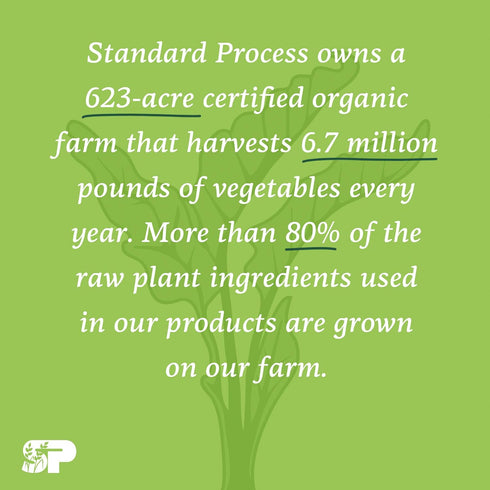 Standard Process Cataplex F, 90 Tablets - Whole Food Supplement for Thyroid Support & Skin Health