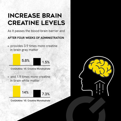 Micronized Creatine Monohydrate + GAA | 60 Sachets, 30 Servings | Increase Strength, No Water Retention | Boosts Memory