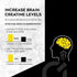 Micronized Creatine Monohydrate + GAA | 60 Sachets, 30 Servings | Increase Strength, No Water Retention | Boosts Memory