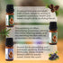 Set 100% (3pcs 10ml) Forest Magic - Organic Essential Oils - Scotch Pine + Juniper + Silver Fir - Pure and Natural