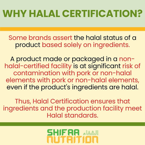Halal Fish Oil Softgels 100 Ct, Standard Strength Omega 3 Fish Oil Supplements, Wild Caught and Non-GMO