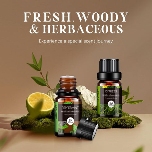 Set 14 (5ml) Woody & Herbal Essential Oils - TOP Fragrance Oil for Diffusers, Aromatherapy, Candle Making - Sandalwood