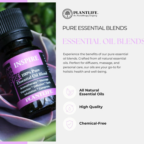 Plantlife Spa Aromatherapy Essential Oil Blend - Straight from The Plant 100% Pure Therapeutic Grade - No Additives or Fillers - Made in California 10 ml