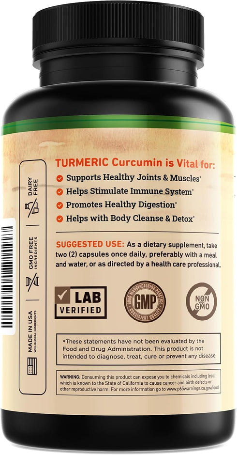 Turmeric and Ginger Supplement - Turmeric Curcumin Pills - with Apple Cider Vinegar & BioPerine Black Pepper - 95% Curcuminoids -120 Capsules