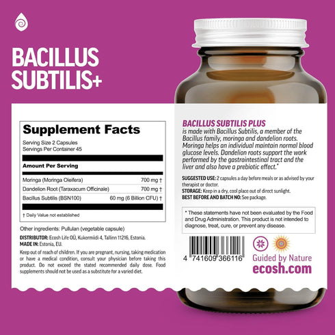 Bacillus Subtilis Probiotic — High Potency Strain with Prebiotic for Daily Gut Health, 90 Vegetarian Capsules, 6